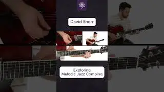 🎸 David Shorr's Guitar Lessons - Exploring Melodic Jazz Comping - TrueFire