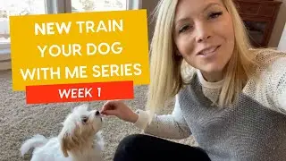 First Session with a Professional Dog Trainer! (NEW 'Train Your Dog With Me' Series: Week 1 Part 1)