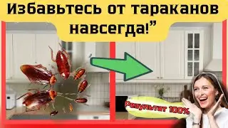 Избавьтесь от тараканов навсегда.‼️"Как избавиться от тараканов быстрее🪳!#тараканы #лайфхакидлядома