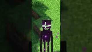 Something Is Wrong With Enderman! 👀 #shorts