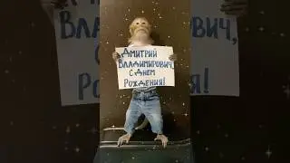 Заказывайте поздравления от обезьянки Читы.   #поздравление