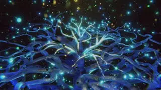 Slow Disco Inferno Low Grow in Stereo 🎵 🖤🎵 shiny blender growth loop animation