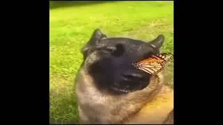 ЭТО БЛЯТЬ Я В РАСТ ИГРАТЬ НЕ УМЕЮ?