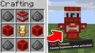 Minecraft But, There Are Custom Totems...!!