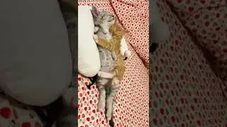 Доброе утро!