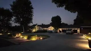 Evening Walk in a Suburban California Neighborhood