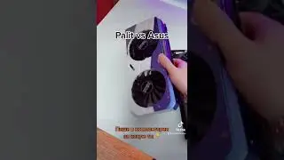 Palit vs Asus ? 
