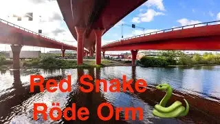 Red Snake - Röde Orm🐍