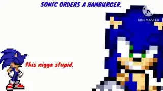 Sonic orders a hamburger.