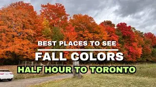 Best Place To See Fall Colours In Canada 🍁🍁🇨🇦🇨🇦