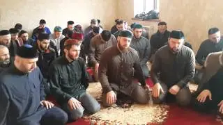 зикар суьр-коьртахь