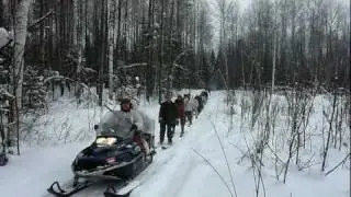 На лыжах за снегоходом охота на волков