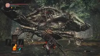 Dark Souls 3: My first playthrough. Part 1. Learning the game