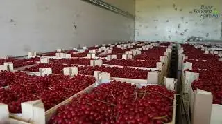 Zachtfruit Schalkwijk en Bayer werken samen aan verduurzaming