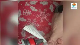 РОЖДЕСТВЕНСКИЕ АНГЕЛЫ из бумаги (мастер-класс от Елены Григорьевны Щенниковой)
