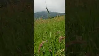 горы