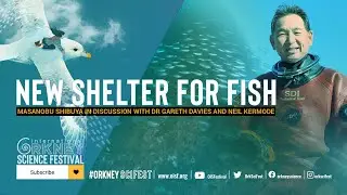 NEW SHELTER FOR FISH