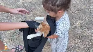 We Found the TINIEST Orange Kitten in an Istanbul Park! 🥺