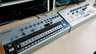 Roland TR-06 Sound Demo (with Roland TB-03, Elektron Syntakt) Neon Pulse