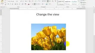 how to change the page view in word word