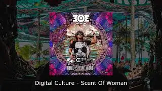 Digital Culture live Mix @ Universo Paralello UP 15# @ 303 Stage