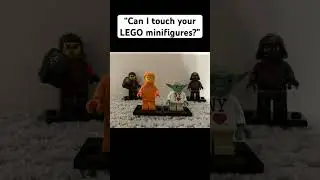 my collection, my rules 