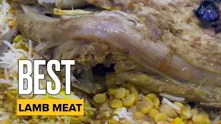 Young Lamb Meat