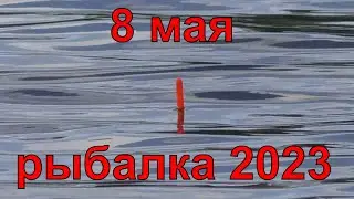 рыбалка на поплавок на реке 8 мая, крупный план поклевок подлещика