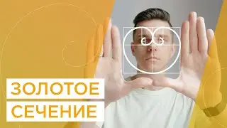 Что такое золотое сечение? Как использовать золотую спираль в дизайне логотипа? Числа Фибоначчи