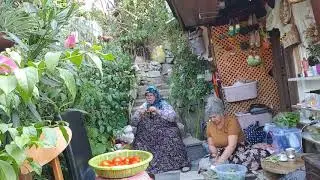 KAYNANAM ACIKMIŞ BAS BAS BAGIRIYO BANA