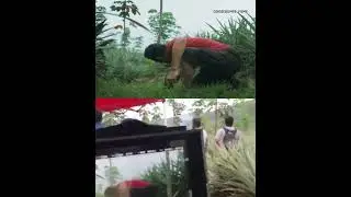 Joji- Behind the scenes | Fahadh Faasil, Dileesh Pothan, Shyam Pushkaran #cinema