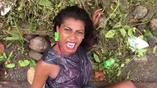 Não Deixe Esse Hino da Limpeza Morrer! (Leona Vingativa)