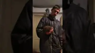 Ёжик в у вовы
