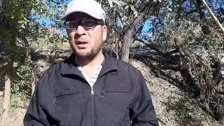 Kuzgi hirmon Jida pishdi