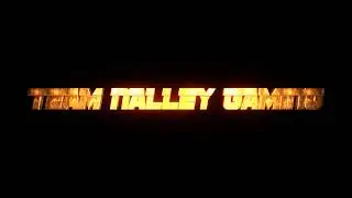 TNG TeamNalleyGaming