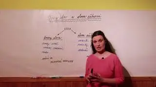 Český jazyk - Tvary slov a slova příbuzná