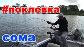 поклeвка сома на квок. Вот так это выглядит на эхолоте Lowrance Elite 9ti2. #рыбалка