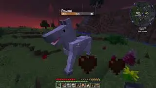 English Minecraft Education