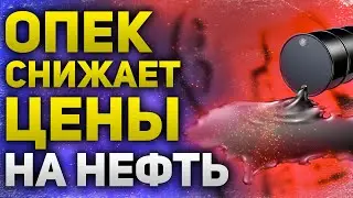 Падение цен на нефть  Россию хотят исключить из ОПЕК+  Выиграют все, кроме России  Утренний брифинг