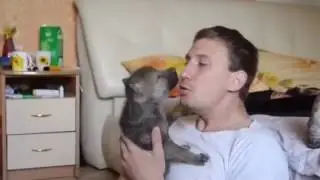 Учит волка 