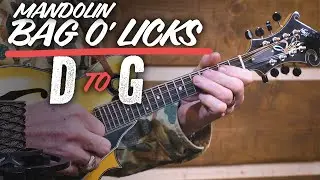 Mandolin Bag O' Licks Lesson! Check out these licks in D!
