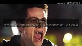 Кто ты по знаку зодиака из Волчонка?