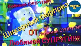 Большой Белый Мишка Сюрприз Любимому мужу #shorts#белыймишка#подарок#спб#аниматорыспб#мишка