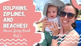 Dolphins, Ziplines, and Beaches / Hawaii Part 2