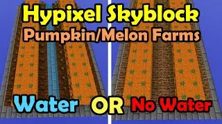 Hypixel Skyblock Pumpkin/Melon Farms - Water or No Water?