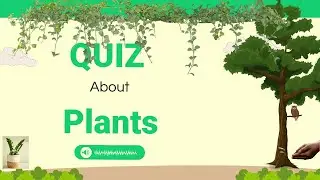 Quiz about plants | parts of plants | lesson 1 @earlybirdideas