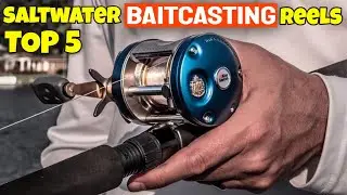 Best Budget Saltwater Baitcasting Reel 2022 | Top Baitcasting Reel For Saltwater