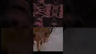 жизнь ни кого не с щадит... 😔