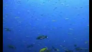 Azul efímero