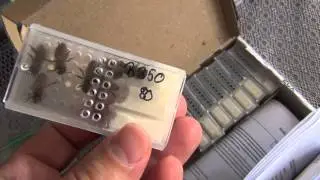 Островная матка часть №1